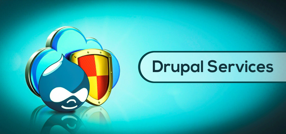 druapl web content management services development services hyderabad